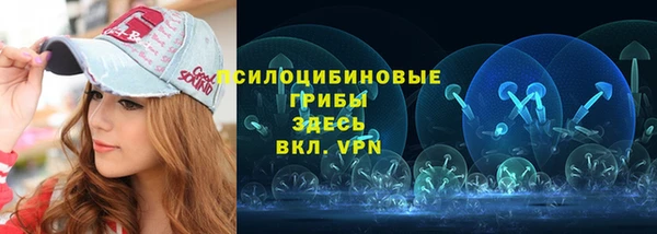мет Бородино