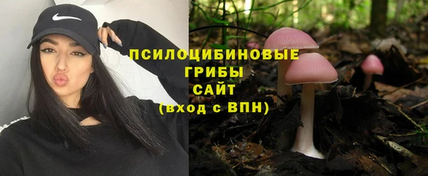 мет Бородино