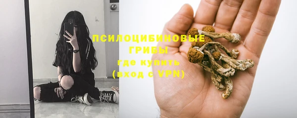 ешки Бронницы