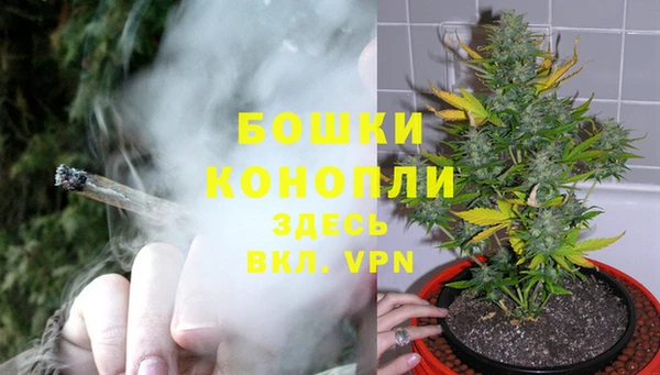 ешки Бронницы