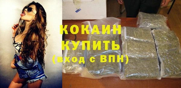 мет Бородино