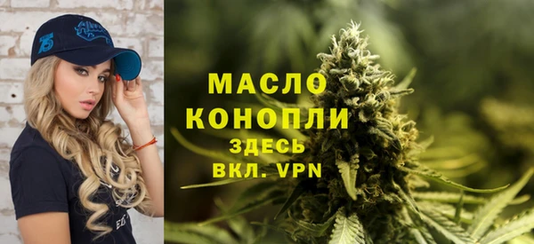 молекула духа Богородицк