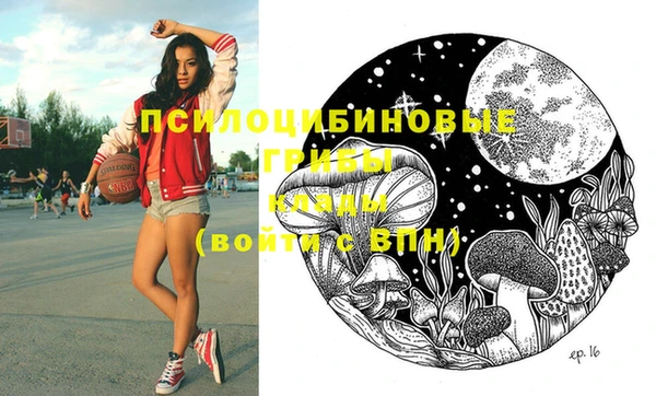ешки Бронницы