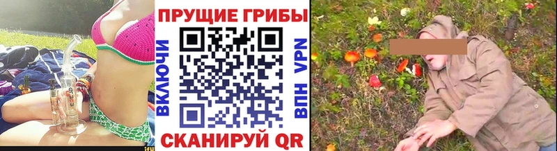 Купить где  Осинники  Псилоцибиновые грибы MAGIC MUSHROOMS 
